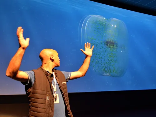 Des nouveautés cet été à Océanopolis à Brest 